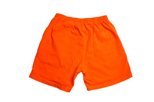 Reading Shorts