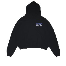 Load image into Gallery viewer, Financial Literacy Hoodie
